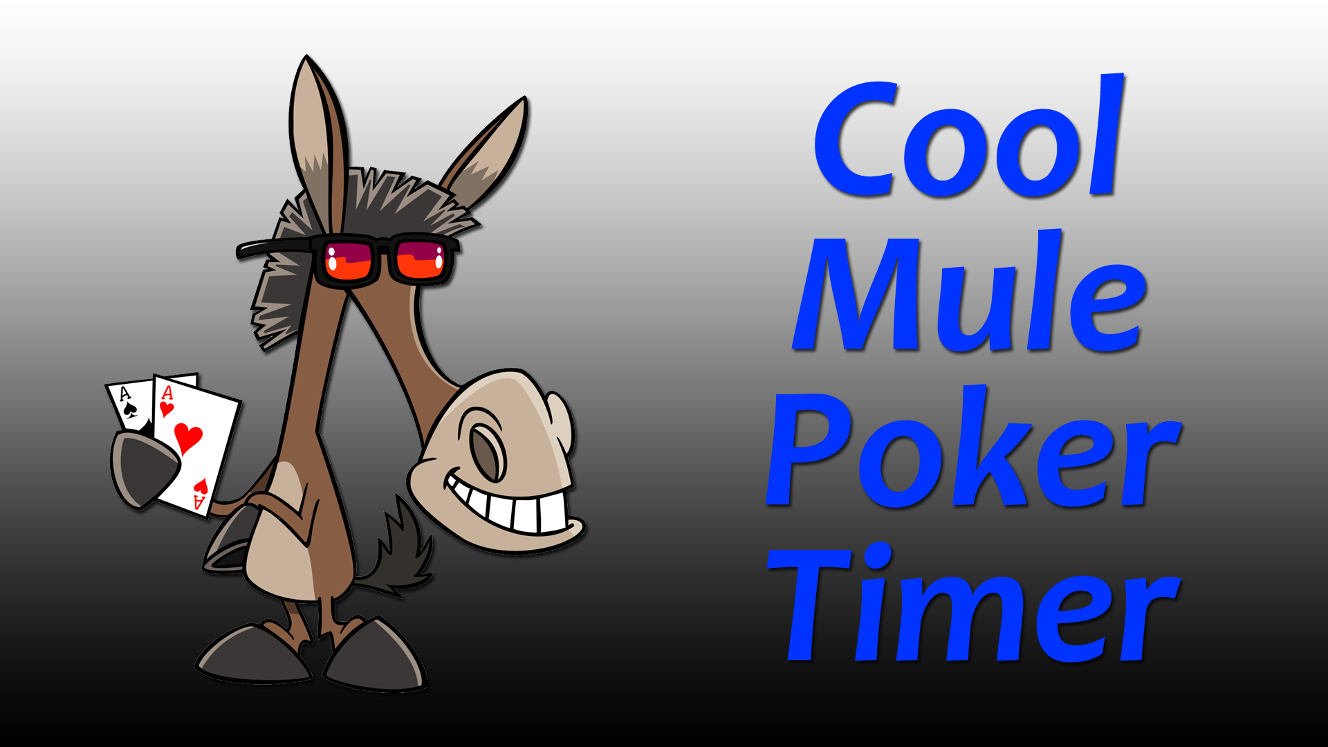 Cool Mule Timer