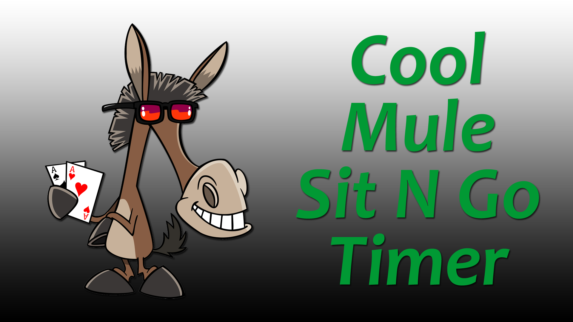 Cool Mule Timer